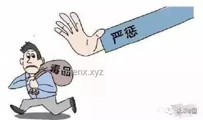 男子转卖止疼药获刑贩毒罪：法律解读与解决方案